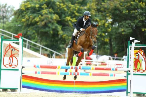 Kings Farm Horse Riding School