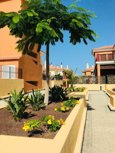 Apartamento La Casa Canaria