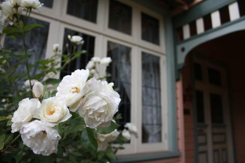 Dalfruin B&B