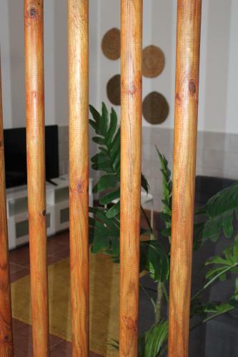 Apartamento Loft Pinope