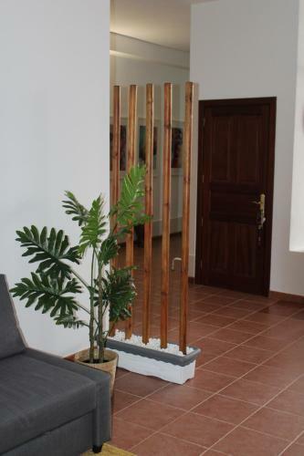 Apartamento Loft Pinope