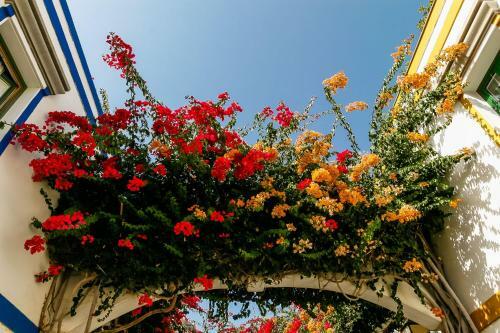 To To Apartments - Puerto de Mog�n