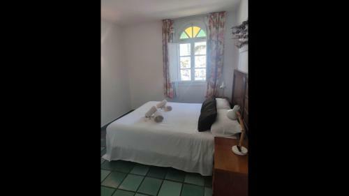 First Line Luxury Apartment