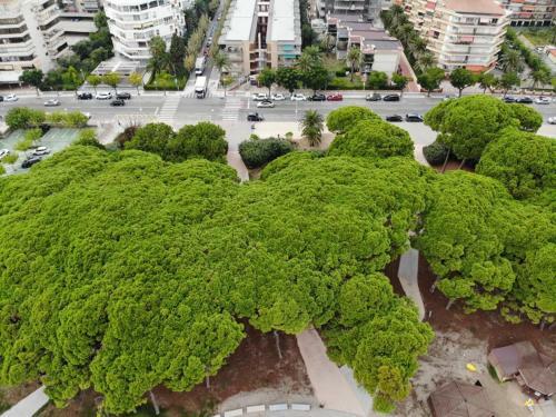 Apartamento La Playa de La Pineda 50m Del Mar