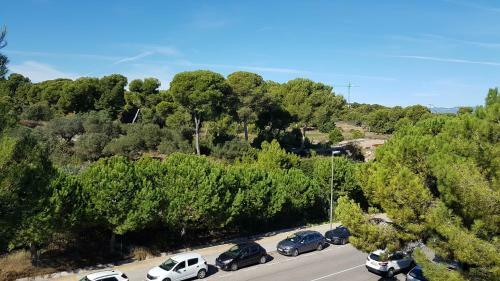 Apartamento Punta Prima Estival Park