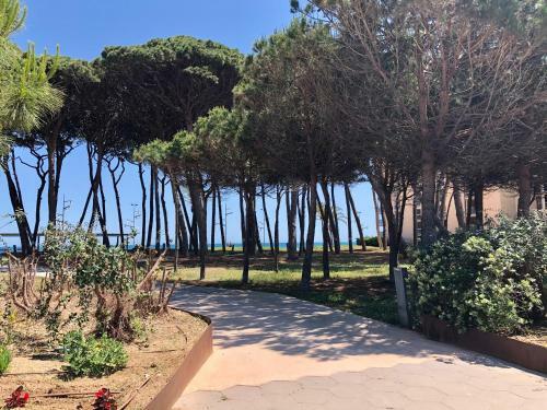 Apartamento Pineda Beach 1a L�nea de Mar & Parking