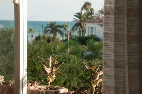 Apartamento Duplex A 50m de La Playa de Les Cases D'alcanar