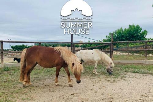 Summer House Tgn Rural