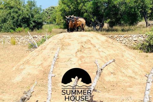 Summer House Tgn Rural
