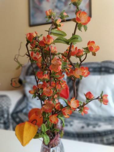 Apartamento Pescadors