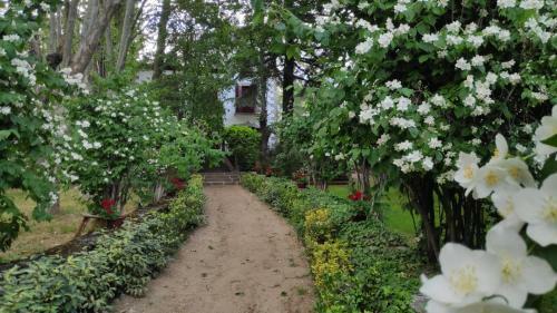 Hostal Casa Jard�n El Colmenar