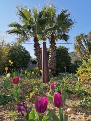 Apartamento Casa Jiby