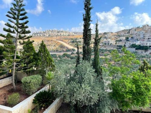 Lovely Apartment With A Fantastic View