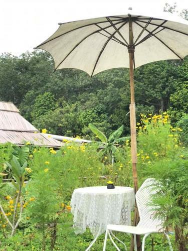 Baibai At Thaimuang Farmstay