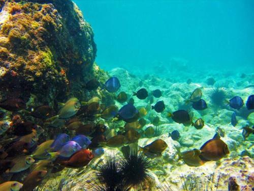 Homes To Stay