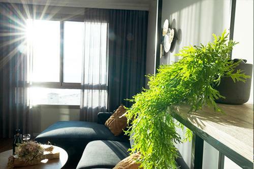 Apartamento Luxury Suites By Notaly Ariel - Carmel Beach
