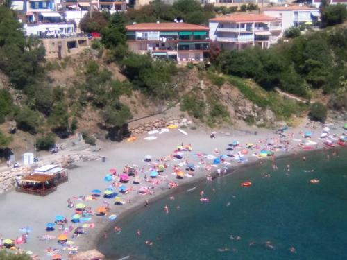 Apartamento Ca La Nuri Pis 3