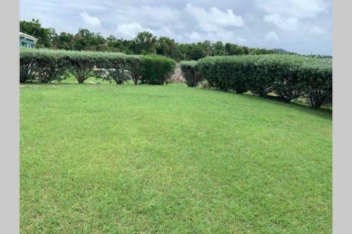 Neem View Apartment #8