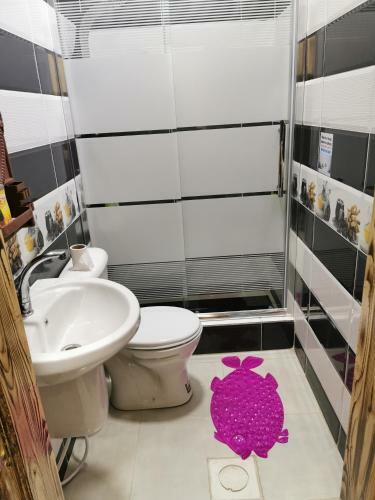 Apartamento Petra 555