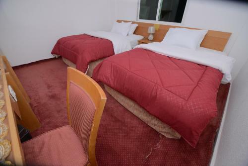 Petra Lion Hotel