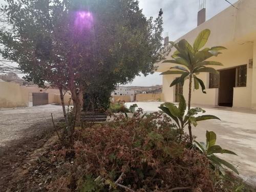 Apartamento Farmer Stay Hostel