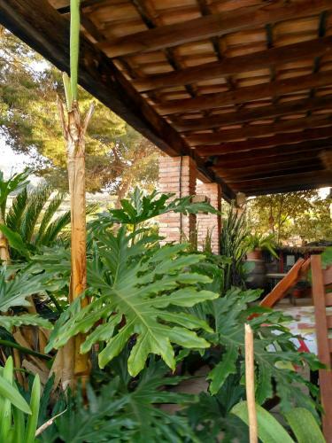 Agroturismo Casa Rural Los Corteses