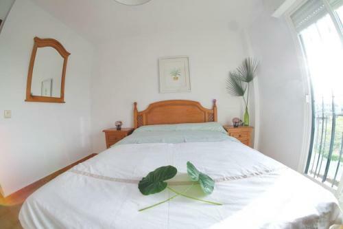 Apartamento Lugar Feliz- Playas Los Ca�os de Meca