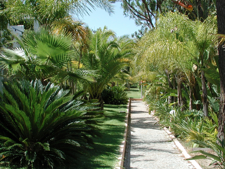 Hotel Ria Park Garden