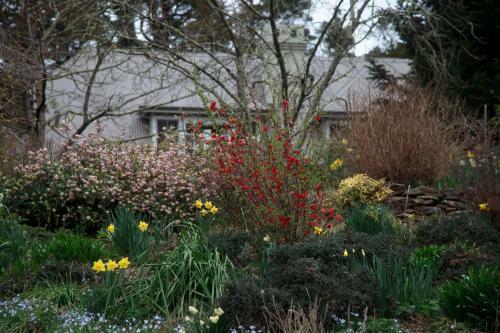 Hotel Parklands Country Gardens & Lodges