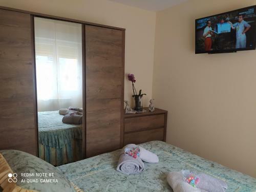 Apartamento Gonzalo de Berceo 15
