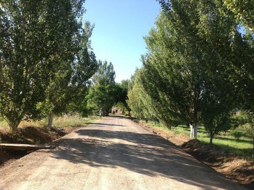 Finca El Consul