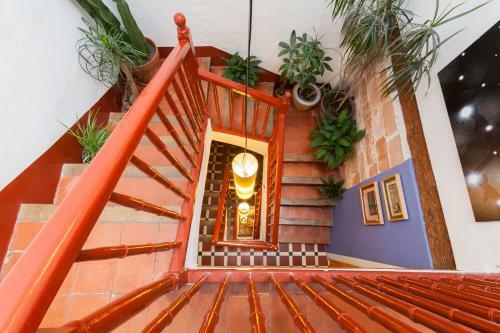 Casa Malvas�a