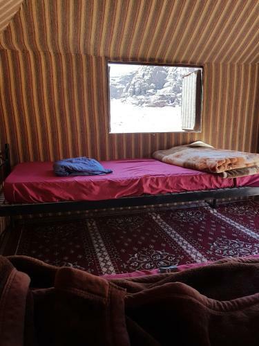 Jordan Tracks Bedouin Camp