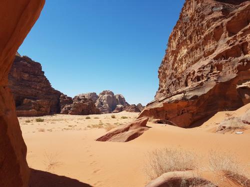 Jordan Tracks Bedouin Camp