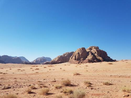 Jordan Tracks Bedouin Camp