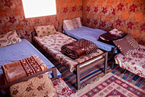 Wadi Rum Protected Area Camp