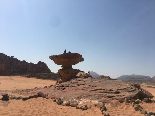 Desert Trips