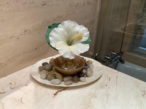 Apartamento Murrieta