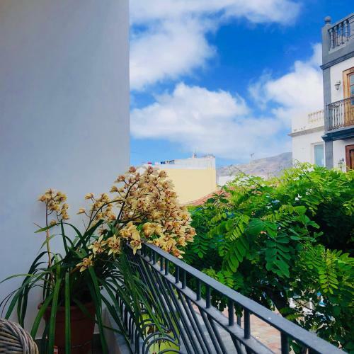 Casa Abuela To�a