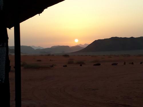 Hotel Bedouin Future Camp