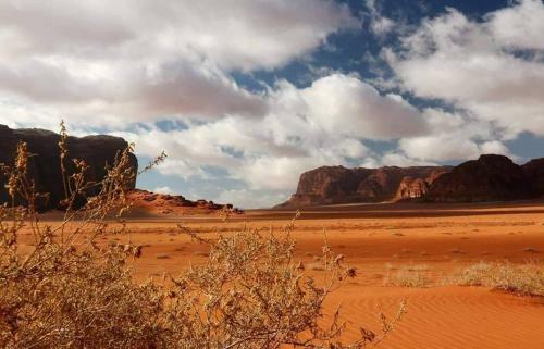 Hotel Bedouin Future Camp