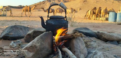 Hotel Bedouin Future Camp