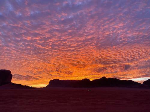 Wadi Rum Nice Camp & Tours