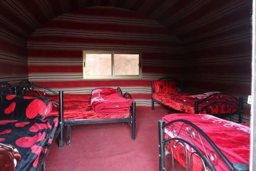 Wadi Rum Desert's Heart Camp