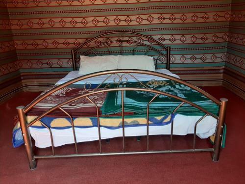 Bedouin Host Camp& With Tour