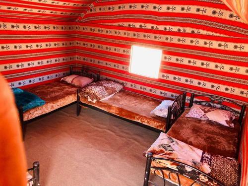 Bedouin Host Camp& With Tour