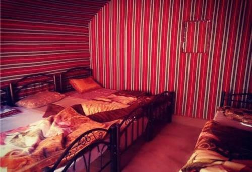 Bedouin Host Camp& With Tour