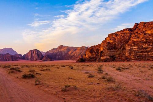 Bedouin Host Camp& With Tour