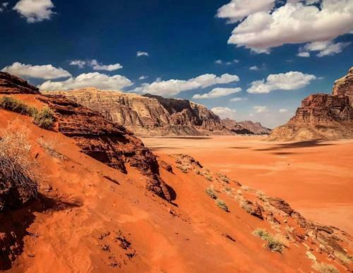 Bedouin Host Camp& With Tour