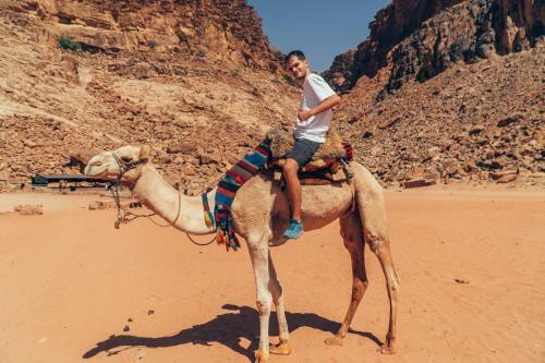 Bedouin Host Camp& With Tour